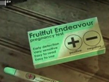 Harley Quinn's Pregnancy (Batman: Arkham City)