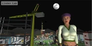 Early PR shot of Linden World, Linden City can be see in background.