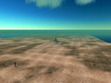 The sims before being built on! Image by Loki Pico.
