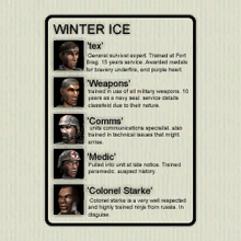 WinterICE Team Card