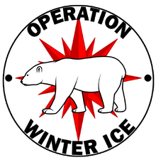 WINTER ICE Logo