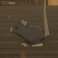 Rat.jpg (75 KB) Rat