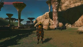 SW Treasure Deku's Sadness