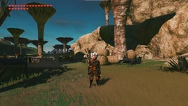 SW Treasure Hidden Truth