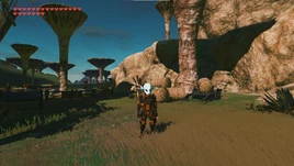 SW Treasure Zora's Regret