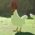 Cucco White.jpg (95 KB) Cucco