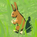 Rabbit Forest.jpg (112 KB) Rabbit