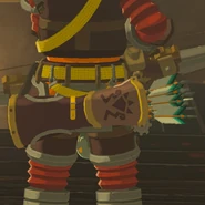 Goron Quiver