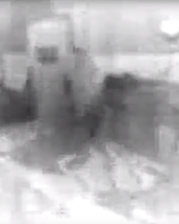 Hamburger Lady Zasekrechennye Fajly Fandom Its a song / story about a burn victim and its really disturbing and throbbing gristle live at northampton, guild hall, 26th may, 1979. hamburger lady zasekrechennye fajly