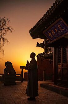 An Average Road Monk