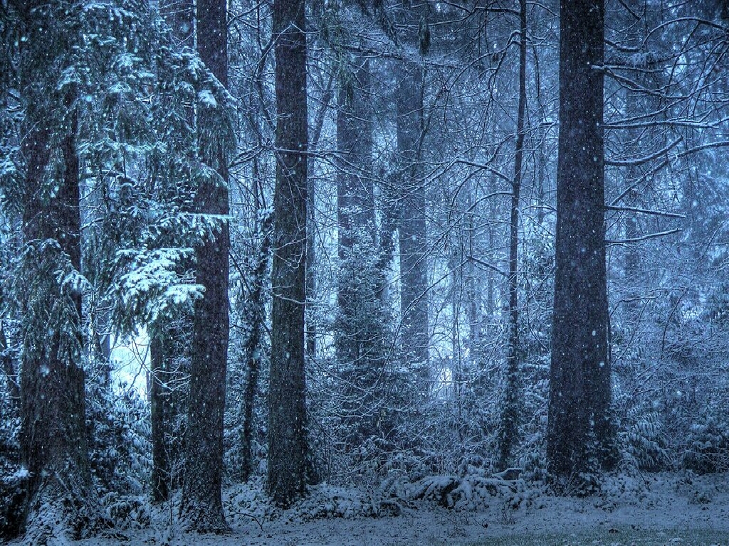 Phone Night Snow Wallpapers - Wallpaper Cave