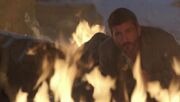 The.secret.circle.115.hdtv-lol.avi 002128543