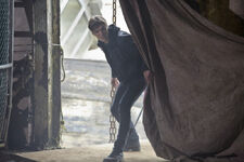 Family 9.jpg (141 KB)