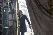 Family 11.jpg (67 KB)