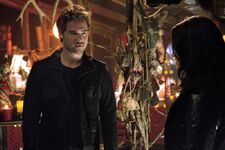 SC111a-9221b.jpg-a95e73c1-t3.jpg (316 KB)