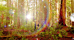 Tumblr lrlnnkuOYZ1qav15fo5 250.gif
