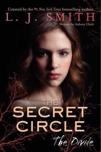 The Divide The Secret Circle Wiki Fandom