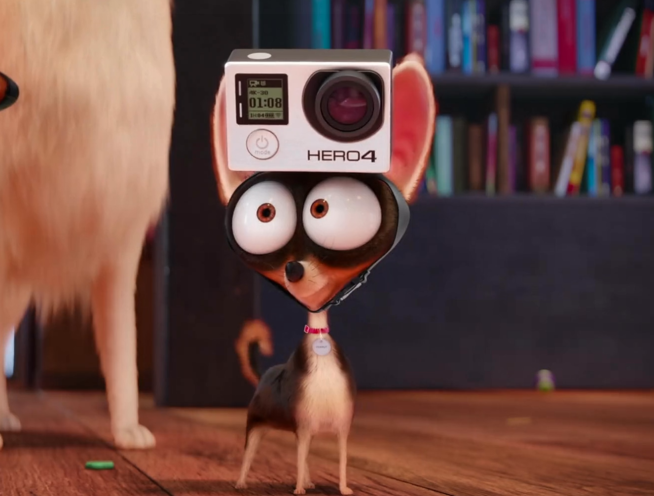 Peanut is a minor character that appears in The Secret Life of Pets. 