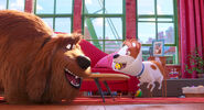 Secretlifeofpets2-animationscreencaps.com-1652