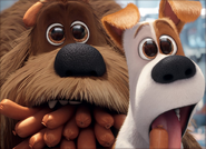 Max's and Duke's reaction when they enter the Sausage Paradise.