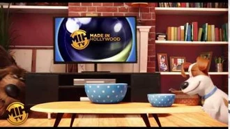 The Pets Viewing Favorite TV show - The Secret Life of Pets