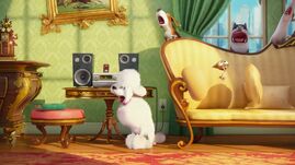 Secret life of pets system of a down best sale