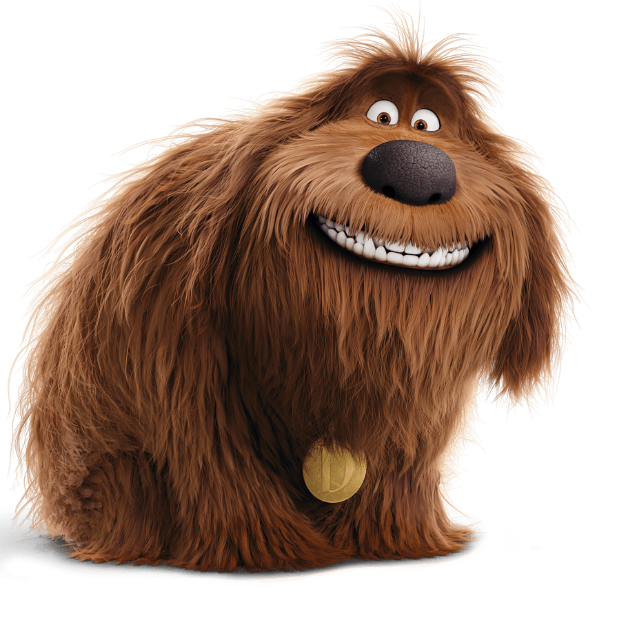 Secret life of pets store dogs