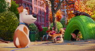 Secret-life-pets-disneyscreencaps.com-2149