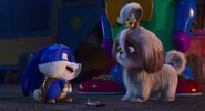 Secretlifeofpets2-animationscreencaps.com-3701