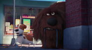 Secret-life-pets-disneyscreencaps.com-2201