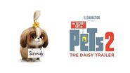 The Secret Life Of Pets 2 - The Daisy Trailer HD