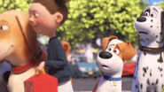 Max (The Secret Life of Pets 2) was very sad
