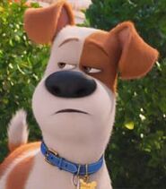 Max in The Secret Life of Pets-0