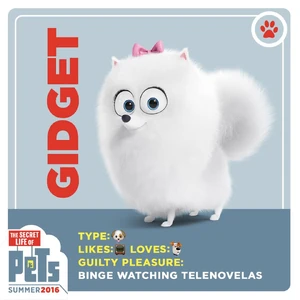 Gidget Gallery The Secret Life Of Pets Wiki Fandom
