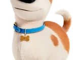 Max