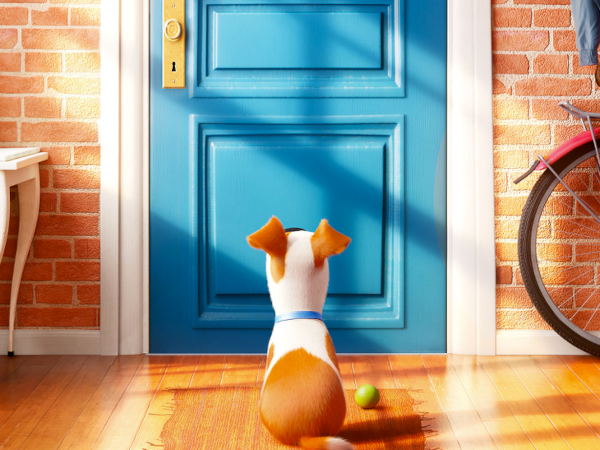 the secret life of pets katie feet