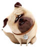 Mel dog.png