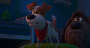 Secretlifeofpets2-animationscreencaps.com-7544