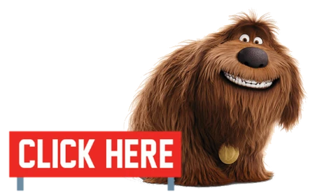 My Secret Duke - Dernier Livre De Sara Bennett