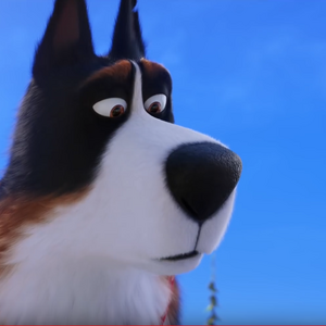 Rooster Gallery The Secret Life Of Pets Wiki Fandom Parents need to know that the secret life of pets 2 is the sequel to the 2016 animated comedy about what pets do when their humans aren't home. the secret life of pets wiki