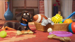 McDonald s The Secret Life of Pets Wiki Fandom