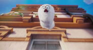 Secret-life-pets-disneyscreencaps.com-2861