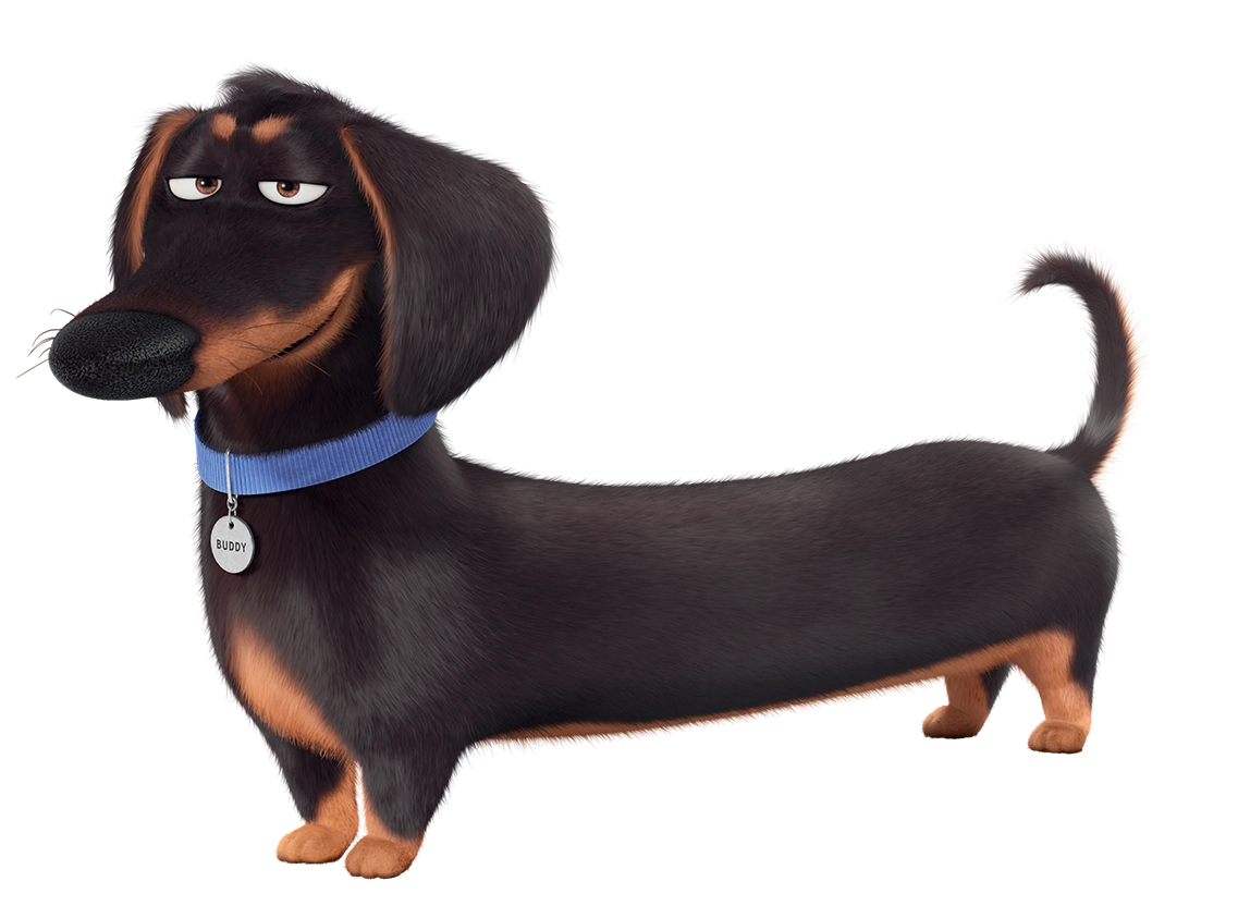 Buddy | The Secret Life of Pets Wiki | Fandom