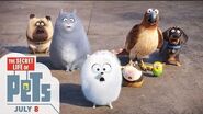 The Secret Life of Pets - Trailer 2 (HD) - Illumination