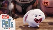 The Secret Life Of Pets - Happy Easter (HD) - Illumination