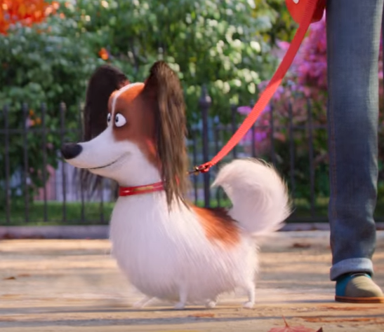 Hamster, The Secret Life of Pets Wiki