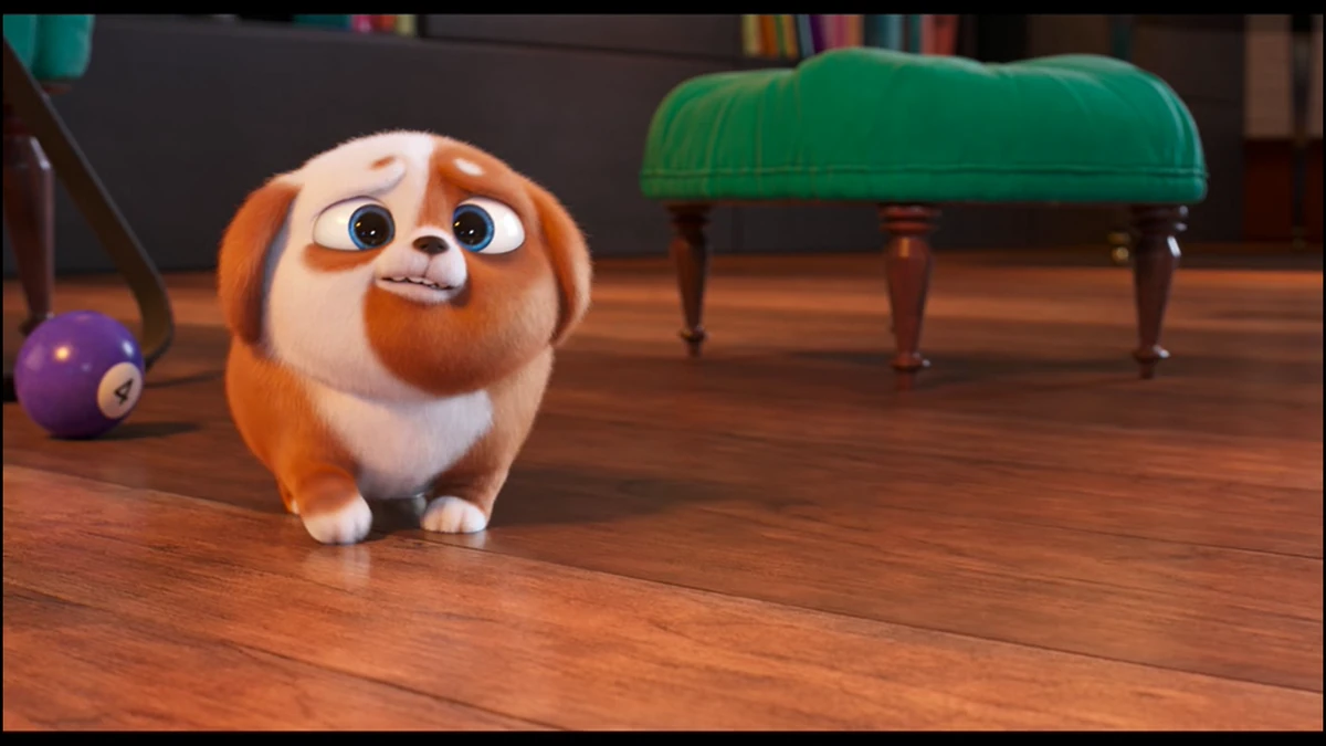 Pickles/Gallery The Secret Life of Pets Wiki Fandom
