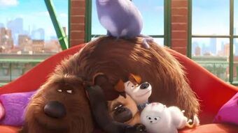 Mcdonald's secret life of pets 2 store
