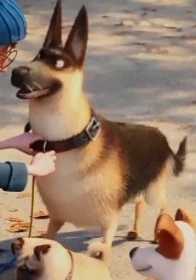 German Shepherd | The Secret Life of Pets Wiki | Fandom