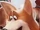 Corgi